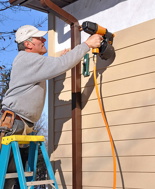 Best Siding Painting and Refinishing  in Temelec, CA